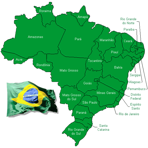 Clínica do Cabelo Brasil